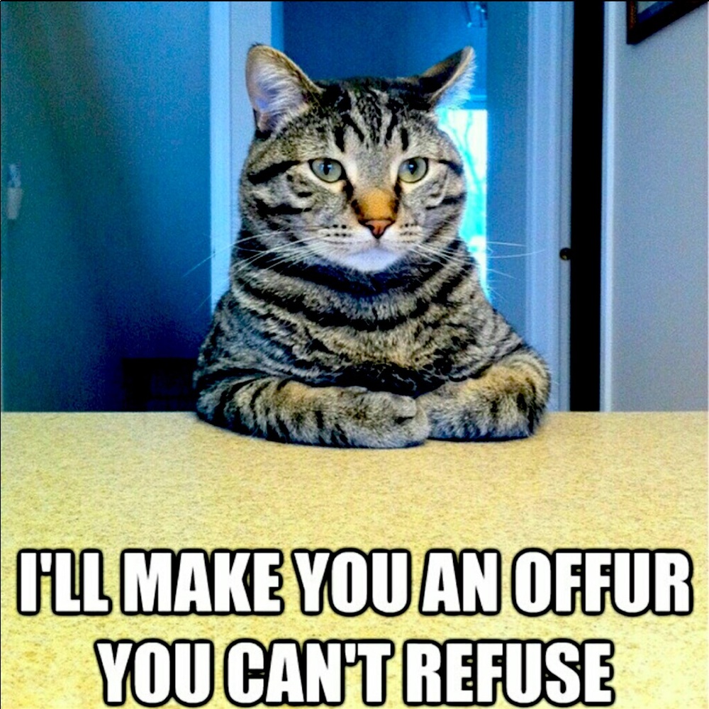 I’ll make you an OFFUR 😻you can’t refuse.